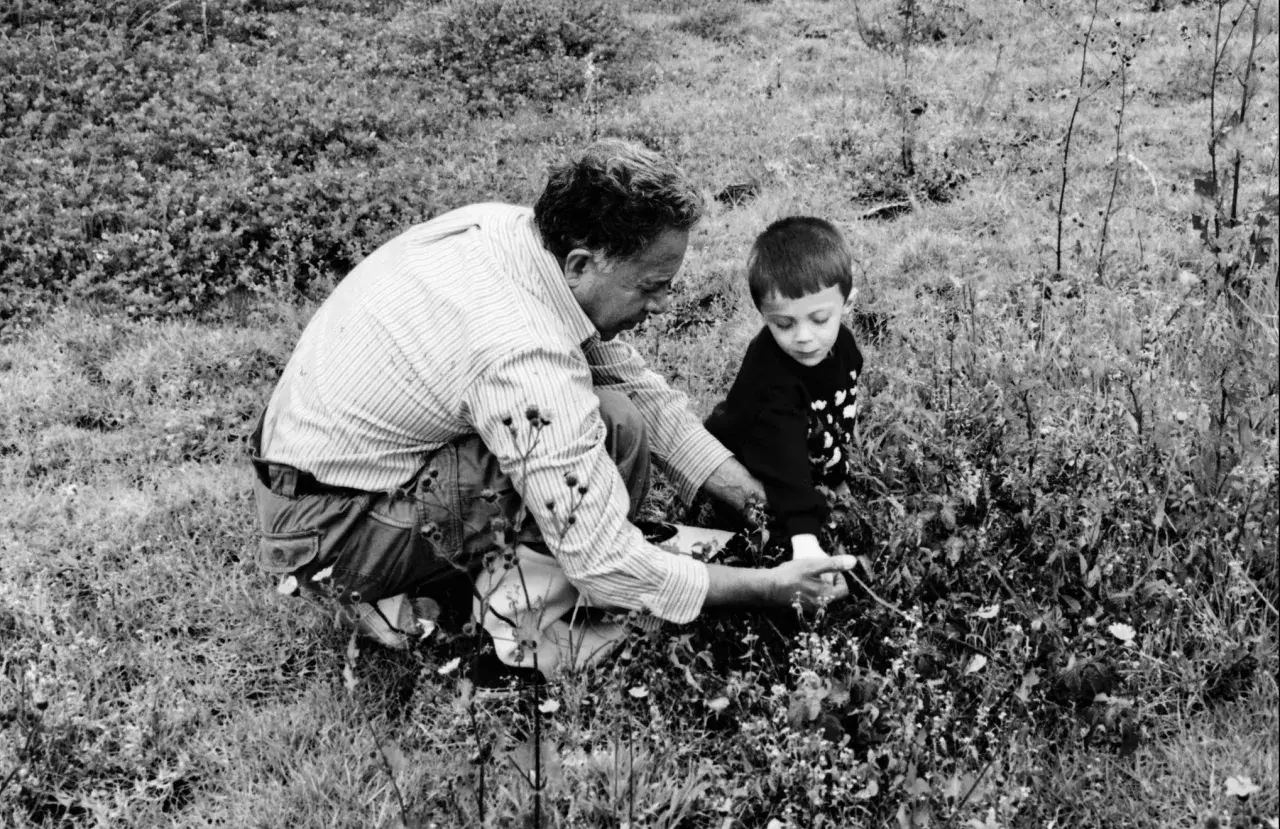 Uomo e bambino in ginocchio tra l'erba, intenti a raccogliere qualcosa. Un momento di condivisione nella natura.