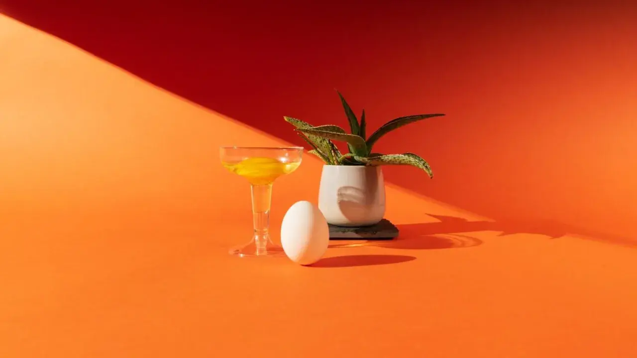Uovo, bicchiere con tuorlo e pianta in vaso su sfondo arancione. Un'elegante composizione in stile still life moda.