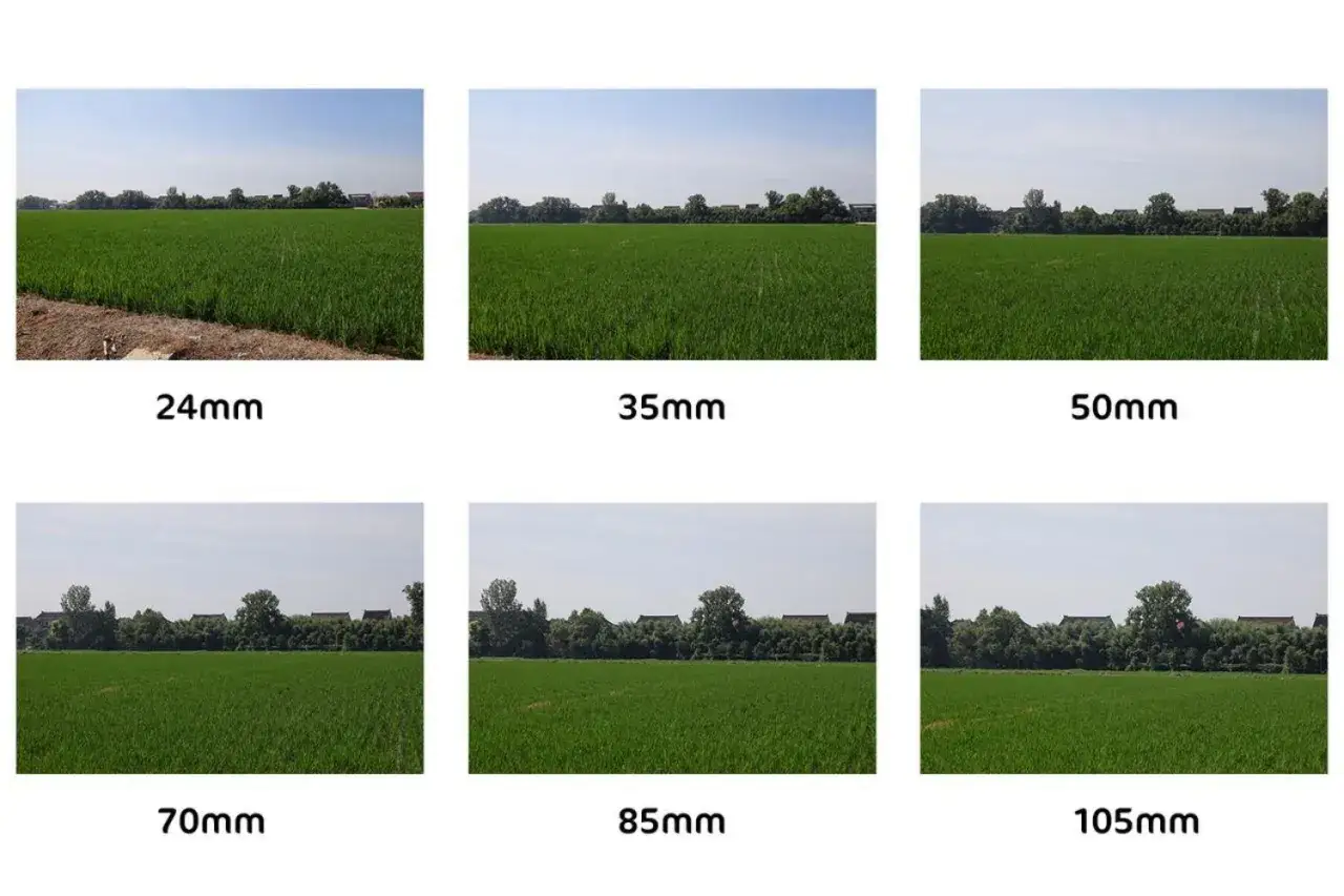 Sei immagini di un campo di riso mostrano cos'&egrave; la distanza focale, da 24mm a 105mm, con un ingrandimento progressivo.