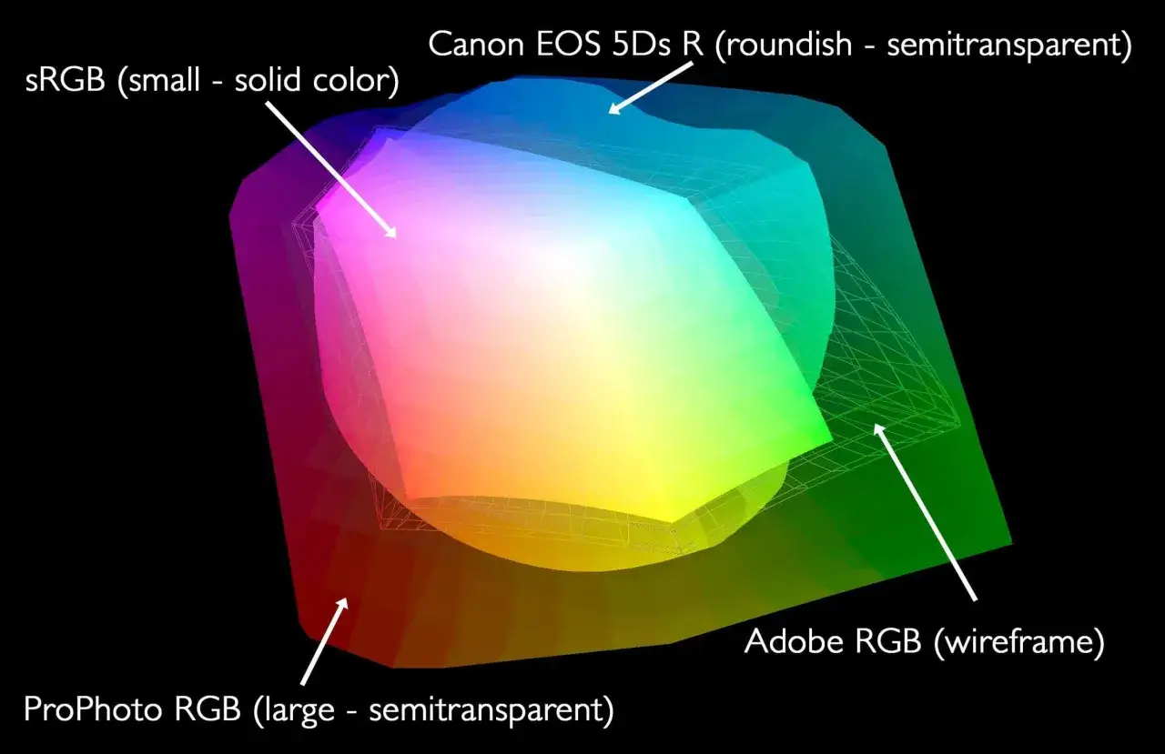 Confronto profili colore Photoshop: sRGB, Canon EOS 5Ds R, Adobe RGB e ProPhoto RGB.